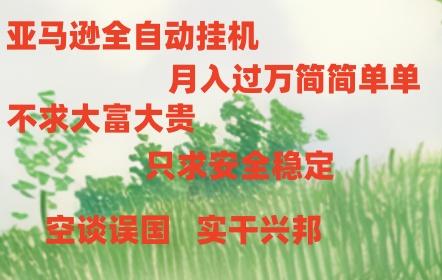 亚马逊全自动浏览挂机，，收益稳定且前景广阔-Zv东方