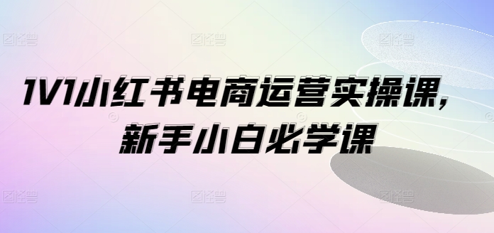 1V1小红书电商运营实操课，新手小白必学课-Zv东方