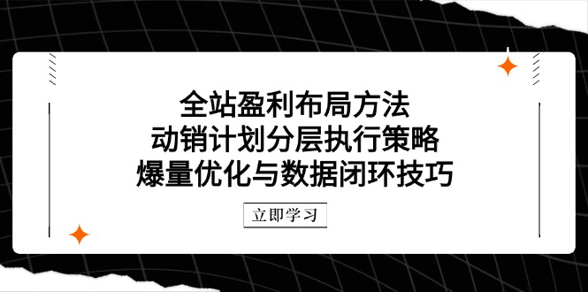 全站盈利布局方法：动销计划分层执行策略，爆量优化与数据闭环技巧-Zv东方