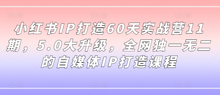 小红书IP打造60天实战营11期，5.0大升级，全网独一无二的自媒体IP打造课程-Zv东方