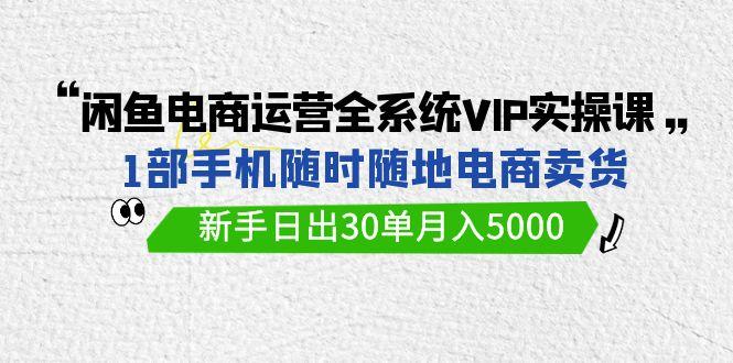 (9547期)闲鱼电商运营全系统VIP实战课，1部手机随时随地卖货，新手日出30单月入5000-Zv东方