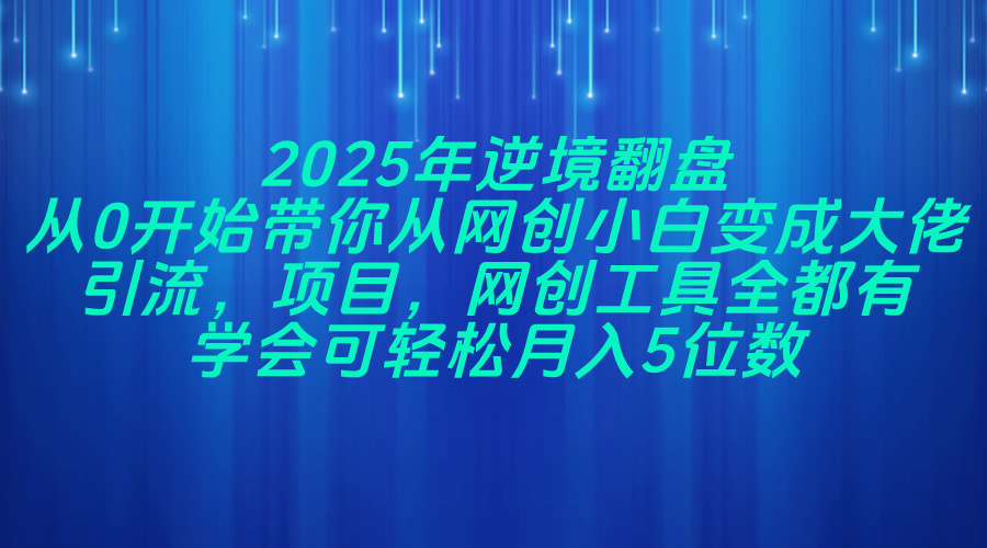 2025年逆境翻盘，从0开始带你从网创小白变成大佬，引流，项目，网创工...-Zv东方