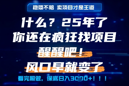 什么？25年你还在疯狂找项目做，醒醒吧，看完这些你全都懂了！【揭秘】-Zv东方