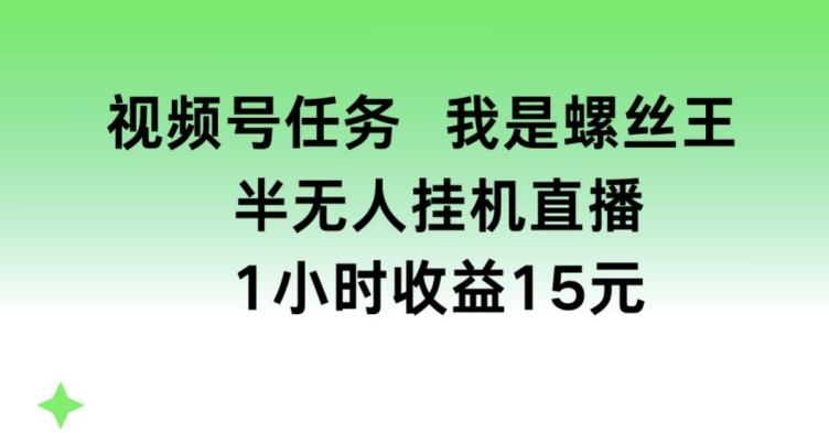 视频号任务，我是螺丝王， 半无人挂机1小时收益15元【揭秘】-Zv东方