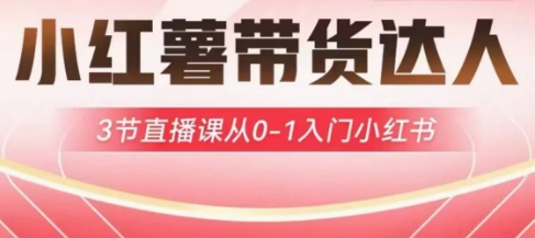 小红薯达人带货启航计划，3节直播课从0-1入门小红书-Zv东方
