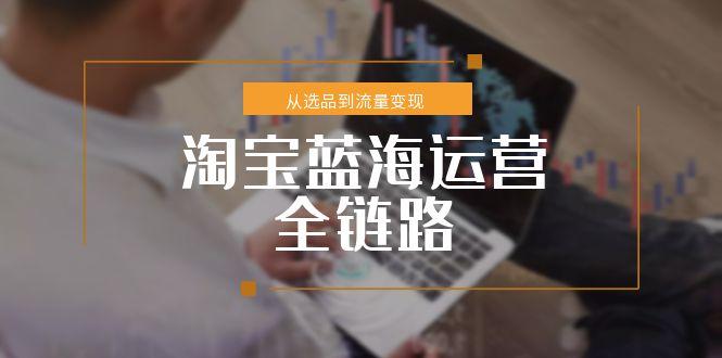 淘宝蓝海运营全链路，从选品到流量变现，小类目突围完整方案-Zv东方