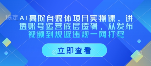 AI高阶自媒体项目实操课，讲透账号运营底层逻辑，从发布视频到规避违规一网打尽-Zv东方