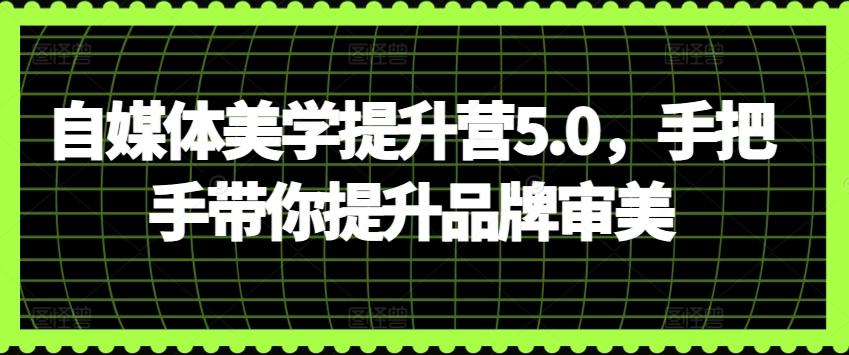 自媒体美学提升营5.0，手把手带你提升品牌审美-Zv东方