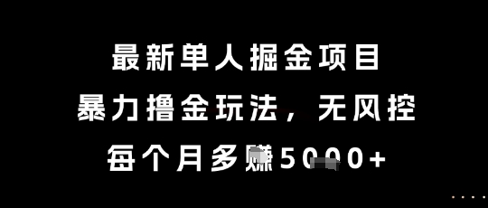 最新单人掘金项目，暴力撸金玩法，无风控，每个月多挣5k+【揭秘】-Zv东方
