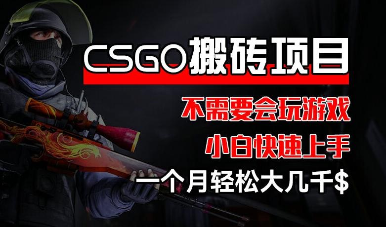 CSGO 装备搬砖项目，操作简单，不需要会玩游戏，小白也能快速上手，一个月轻松大几千【揭秘】-Zv东方