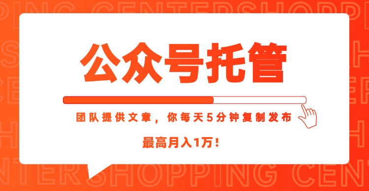 【公众号托管 】我提供文章，你每天５分钟复制发布，最高月入1W-Zv东方