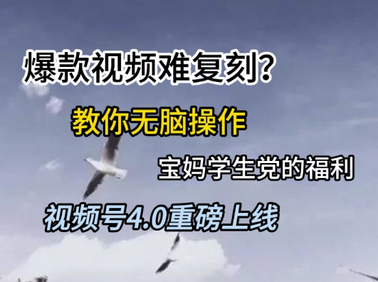 视频号4.0重磅上线，爆款视频难复刻？教你无脑操作宝妈学生党的福利【揭秘】-Zv东方