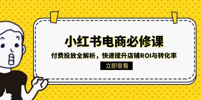 小红书电商必修课：付费投放全解析，快速提升店铺ROI与转化率-Zv东方