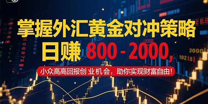 掌握外汇黄金对冲策略，日赚 800 - 2000，小众高回报创业机会，助你实...-Zv东方