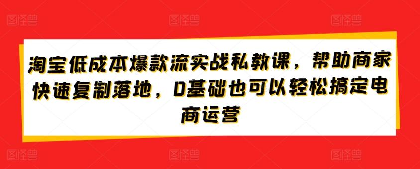 淘宝低成本爆款流实战私教课，帮助商家快速复制落地，0基础也可以轻松搞定电商运营-Zv东方