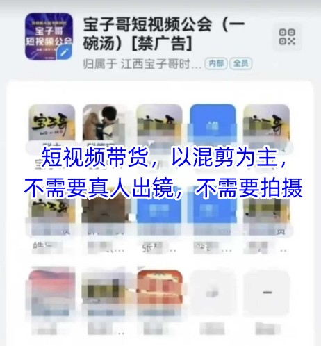 宝子哥头部团队短视频带货，以混剪为主，不需要真人出镜，不需要拍摄【更新6月】-Zv东方