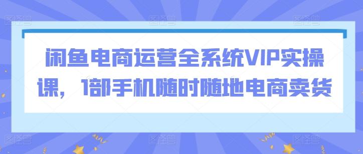 闲鱼电商运营全系统VIP实操课，1部手机随时随地电商卖货-Zv东方