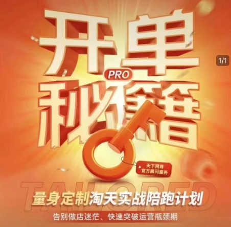 淘宝开单秘籍PRO，量身定制淘天实战陪跑计划，告别做店迷茫、快速突破运营瓶颈期(更新6月)-Zv东方