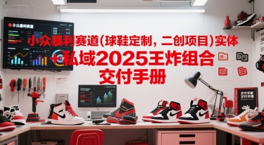 小众暴利赛道(球鞋定制，二创项目)实体+私域2025王炸组合  交付手册-Zv东方