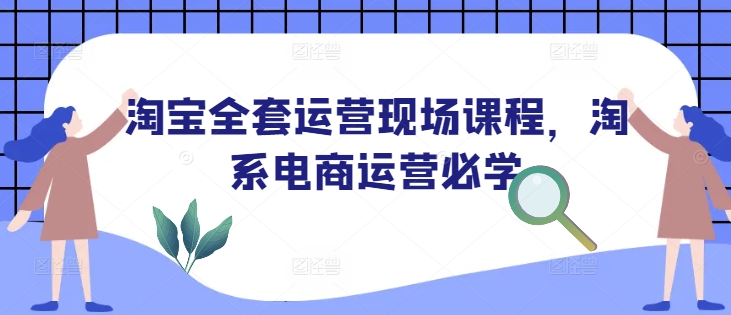 淘宝全套运营现场课程，淘系电商运营必学-Zv东方