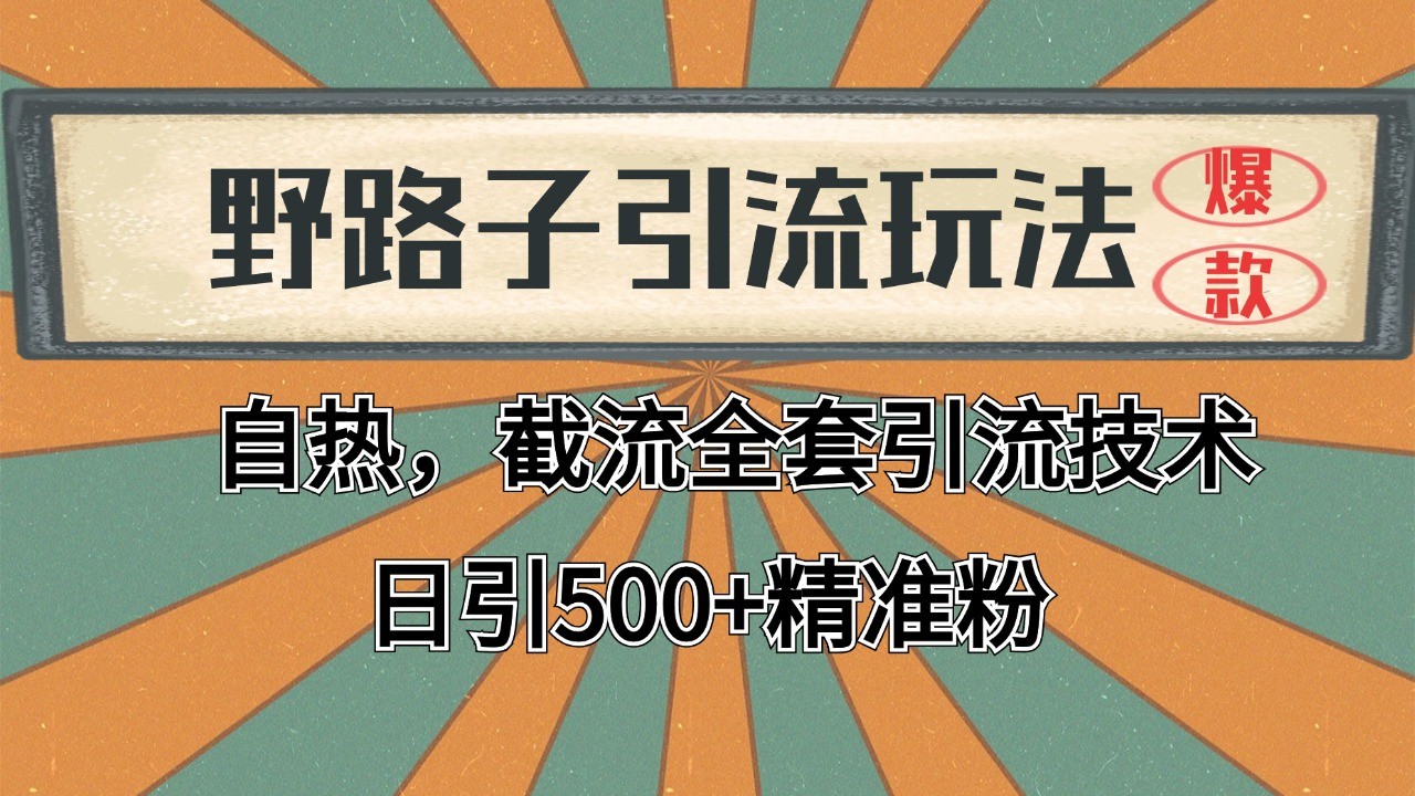2024首发野路子引流玩法截流自热全平台打法，全自动引流【日引2000+精准客户】-Zv东方