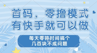 首码零撸项目,有快手就可以做,每天业务时间搞个几张不是问题【揭秘】-Zv东方