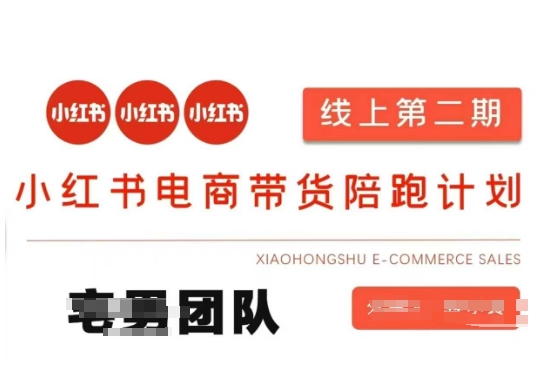 小红书电商带货课2期，月利润20个的小红书电商的有货源，无货源，虚拟产品，付费投流等整套玩法-Zv东方