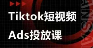 Ads视频投放课，tiktok短视频广告投放课-Zv东方
