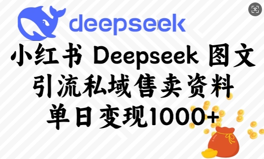 小红书Deepseek图文引流私域售卖资料，单日变现多张-Zv东方