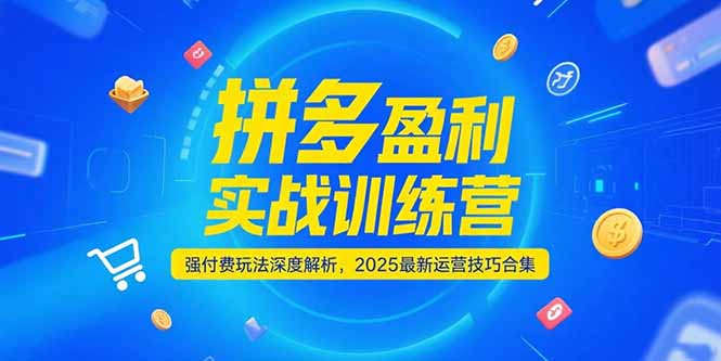 拼多多盈利实战训练营，强付费玩法深度解析，2025运营技巧合集-更新6月-Zv东方