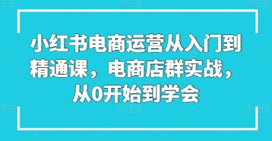 小红书电商运营从入门到精通课，电商店群实战，从0开始到学会-Zv东方