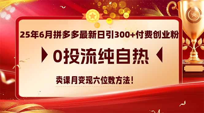 25年6月拼多多最新日引300+付费创业粉，0投流纯自热 卖课月变现六位数方法-Zv东方
