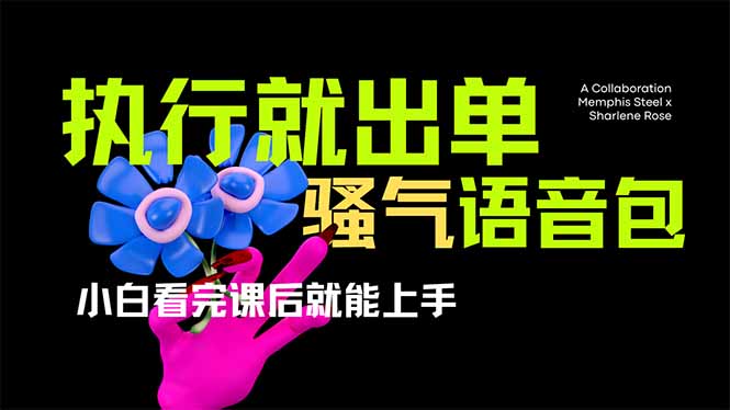 爆火全网的开车导航骚气语音包,只要执行就出单，小白看完课程就能实操...-Zv东方