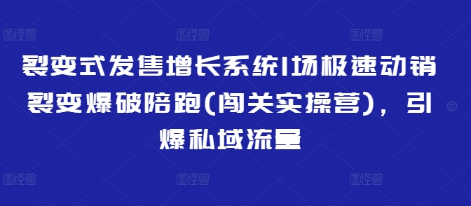 裂变式发售增长系统1场极速动销裂变爆破陪跑(闯关实操营)，引爆私域流量-Zv东方