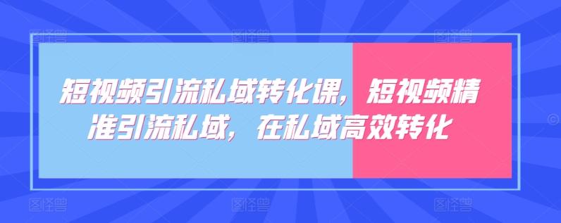 短视频引流私域转化课，短视频精准引流私域，在私域高效转化-Zv东方