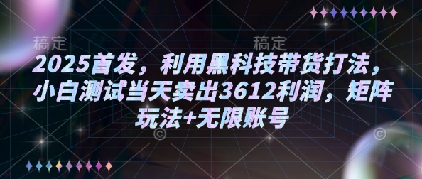 2025首发，利用黑科技带货打法，小白测试当天卖出3612利润，矩阵玩法+无限账号【揭秘】-Zv东方