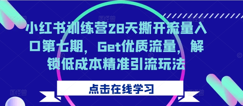 小红书训练营28天撕开流量入口第七期，Get优质流量，解锁低成本精准引流玩法-Zv东方