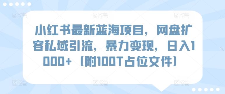 小红书最新蓝海项目，网盘扩容私域引流，暴力变现，日入1000+(附100T占位文件)【揭秘】-Zv东方