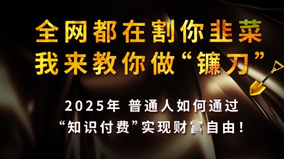 全网都在割你韭菜，我来教你做镰刀，2025普通人如何通过知识付费，实现财F自由【揭秘】-Zv东方